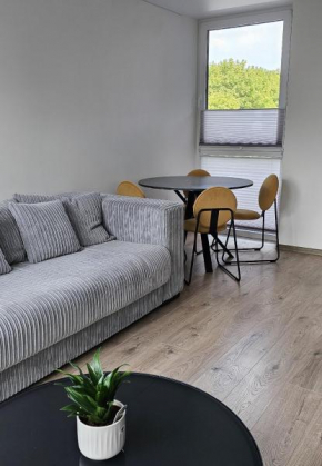 Apartamentai Malonumas